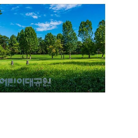 Sota Stay Hotel 서울특별시 외부 사진